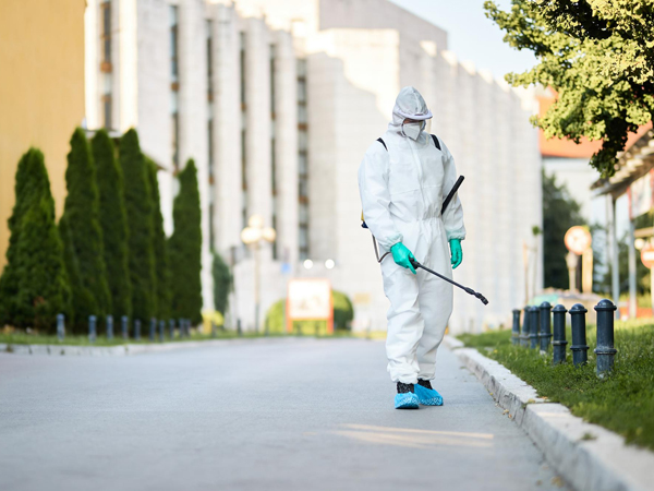 disinfestazioni milano e provincia