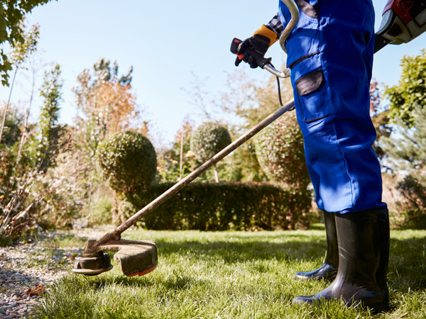 giardinaggio milano e provincia